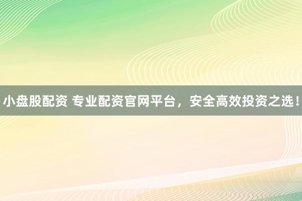 小盘股配资 专业配资官网平台，安全高效投资之选！