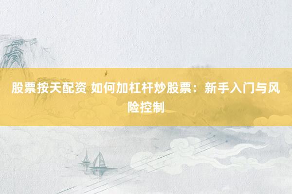 股票按天配资 如何加杠杆炒股票：新手入门与风险控制