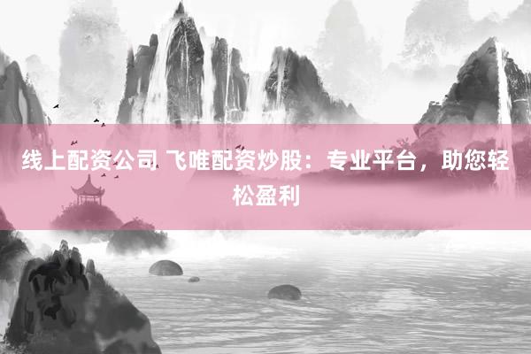 线上配资公司 飞唯配资炒股：专业平台，助您轻松盈利