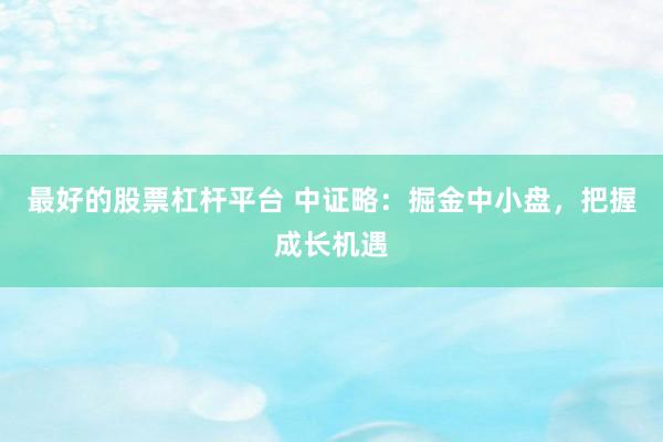 最好的股票杠杆平台 中证略：掘金中小盘，把握成长机遇
