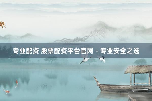 专业配资 股票配资平台官网 - 专业安全之选