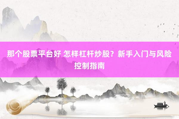 那个股票平台好 怎样杠杆炒股？新手入门与风险控制指南