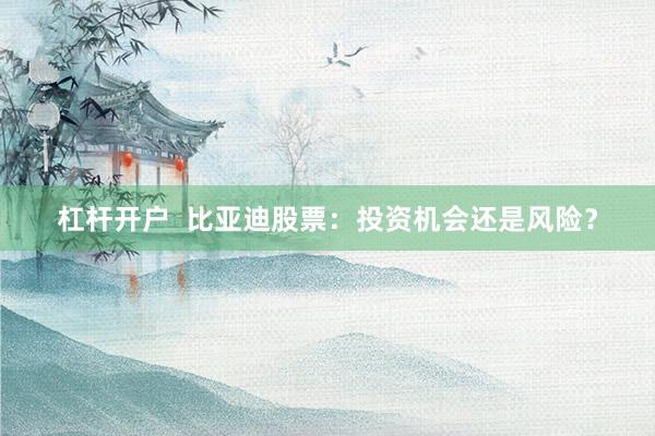 杠杆开户  比亚迪股票：投资机会还是风险？