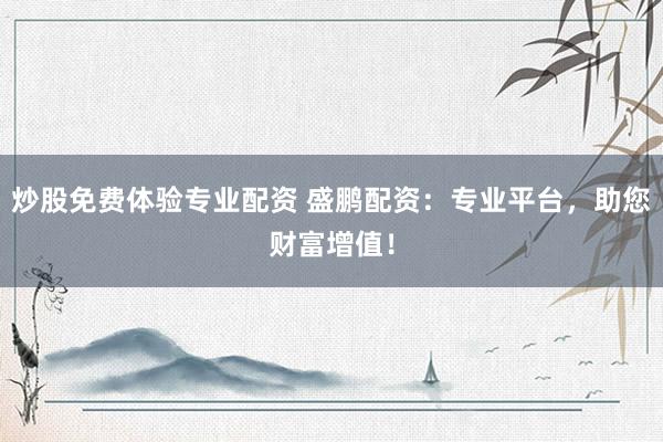 炒股免费体验专业配资 盛鹏配资：专业平台，助您财富增值！