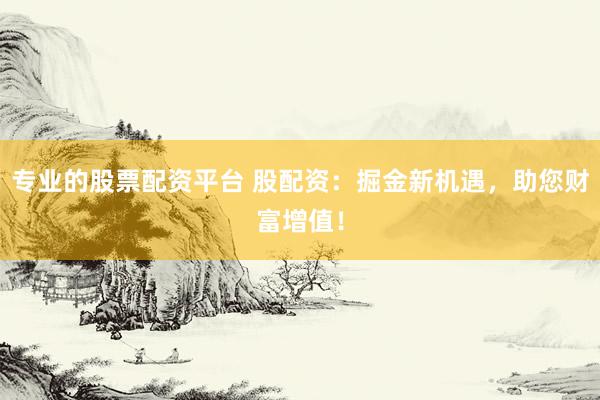 专业的股票配资平台 股配资:掘金新机遇,助您财富增值!
