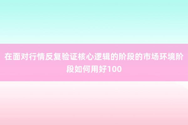 在面对行情反复验证核心逻辑的阶段的市场环境阶段如何用好100