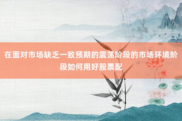 在面对市场缺乏一致预期的震荡阶段的市场环境阶段如何用好股票配
