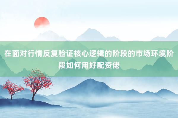 在面对行情反复验证核心逻辑的阶段的市场环境阶段如何用好配资佬