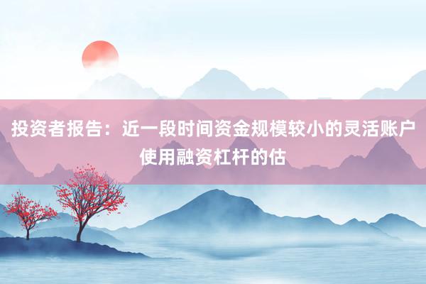 投资者报告：近一段时间资金规模较小的灵活账户使用融资杠杆的估