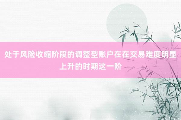 处于风险收缩阶段的调整型账户在在交易难度明显上升的时期这一阶