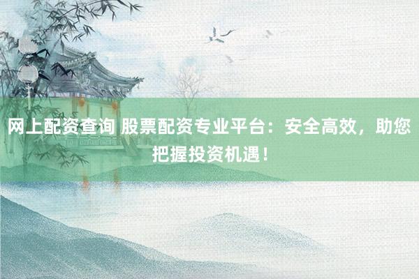 网上配资查询 股票配资专业平台：安全高效，助您把握投资机遇！
