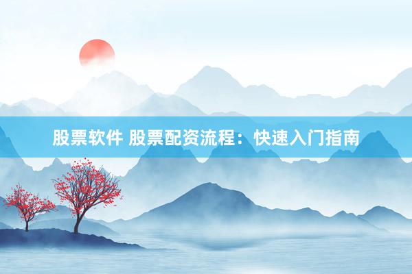 股票软件 股票配资流程:快速入门指南