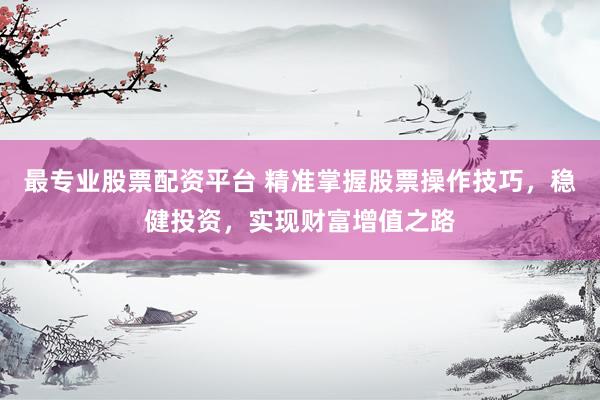 最专业股票配资平台 精准掌握股票操作技巧，稳健投资，实现财富增值之路
