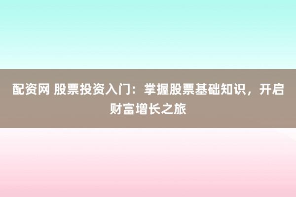 配资网 股票投资入门：掌握股票基础知识，开启财富增长之旅
