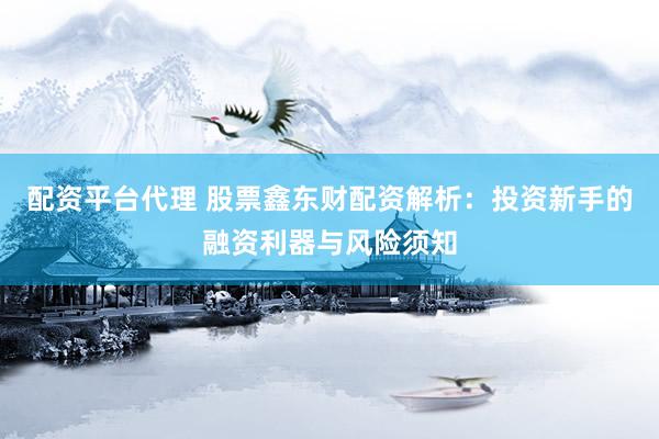 配资平台代理 股票鑫东财配资解析：投资新手的融资利器与风险须知