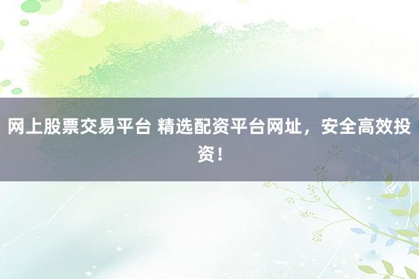 网上股票交易平台 精选配资平台网址，安全高效投资！