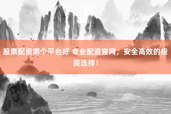 股票配资哪个平台好 专业配资官网，安全高效的投资选择！