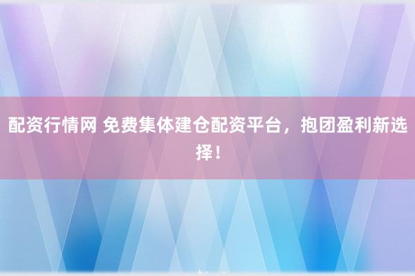 配资行情网 免费集体建仓配资平台，抱团盈利新选择！